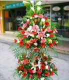 Դǿҵ
