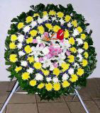 Դǿҵ