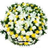 Դǿҵ
