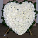 Դǿҵ